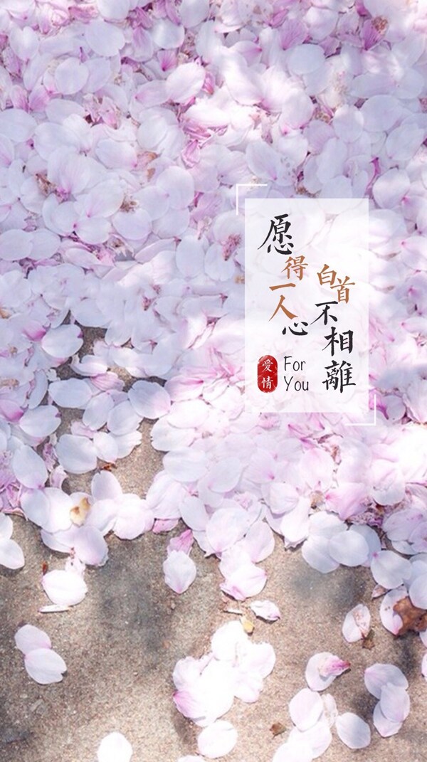 白色花瓣情人節(jié)H5背景素材