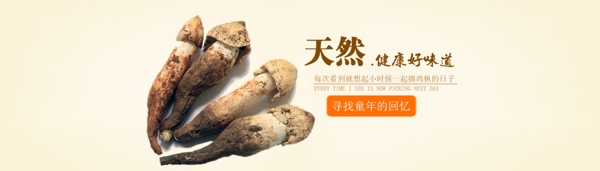 雞樅