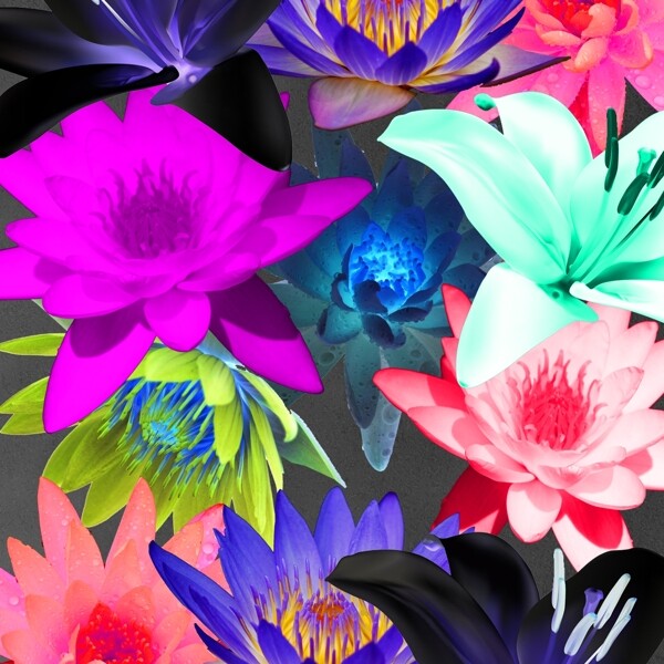數(shù)碼印花圖片