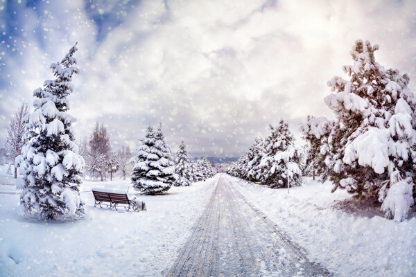 美丽马路雪景