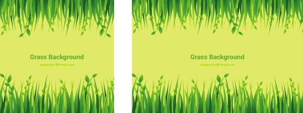 平面设计中的草背景