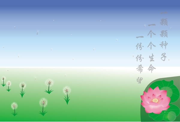 蒲公英蓮花圖片
