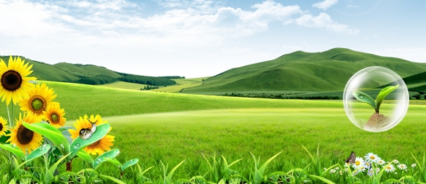 banner背景