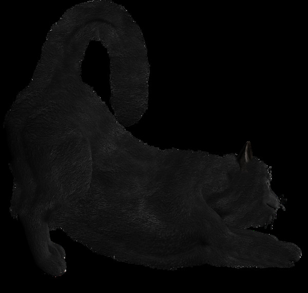 伸懒腰的黑猫图片免抠png透明图层素材