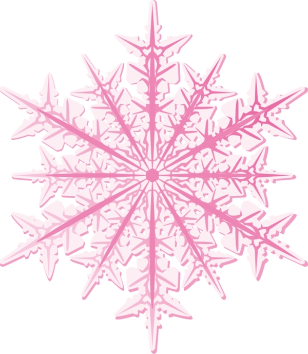 圣誕節(jié)雪花