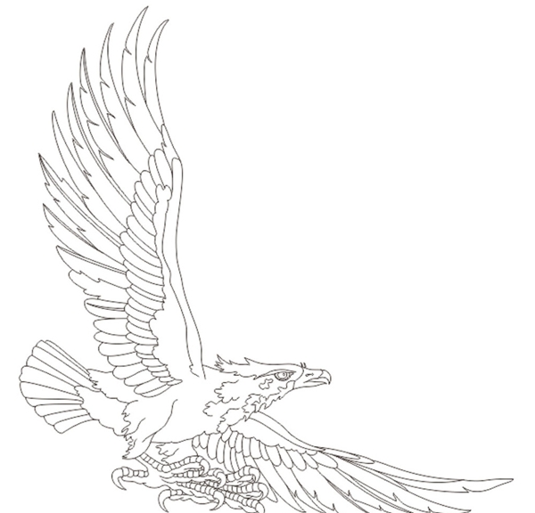 鷹