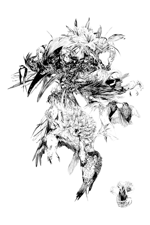 位圖色彩插畫黑白色抽象動物免費素材
