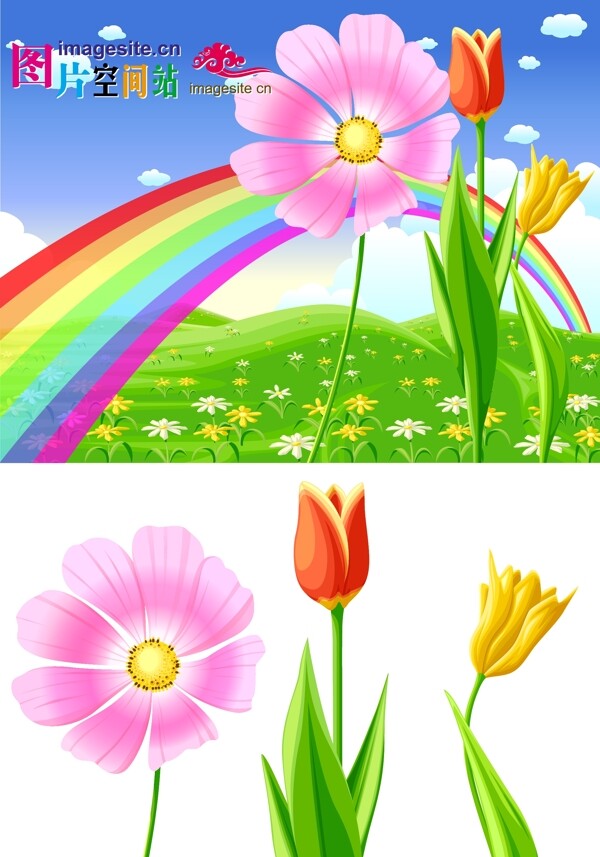 彩虹花朵圖片
