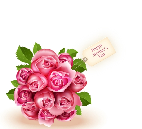 母亲节粉色玫瑰花束图片