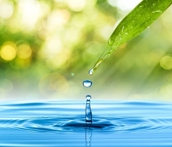 水滴