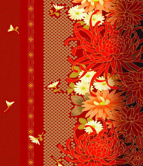 菊花