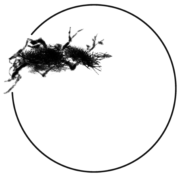 美麗邊框卡通插畫(huà)