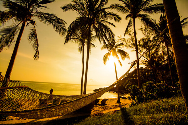 海边日落椰树风景