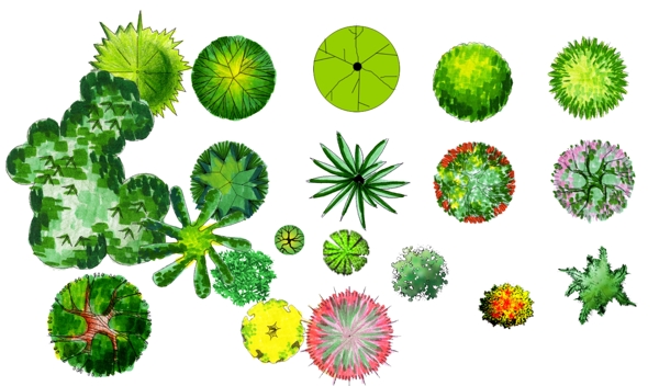 植物图例