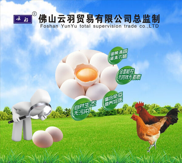 雞蛋海報(bào)圖片
