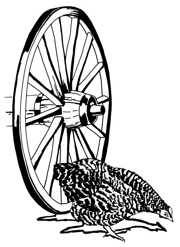 位圖車輪動(dòng)物雞色彩免費(fèi)素材