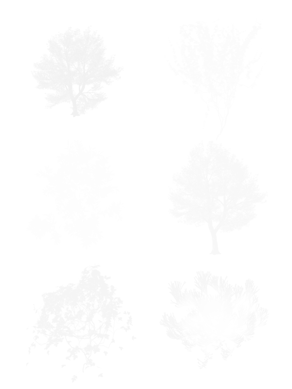冬日主题素材白雪树枝雪树剪影元素装饰集合