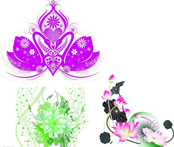 花紋圖片