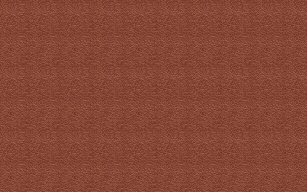 皮革毛皮20
