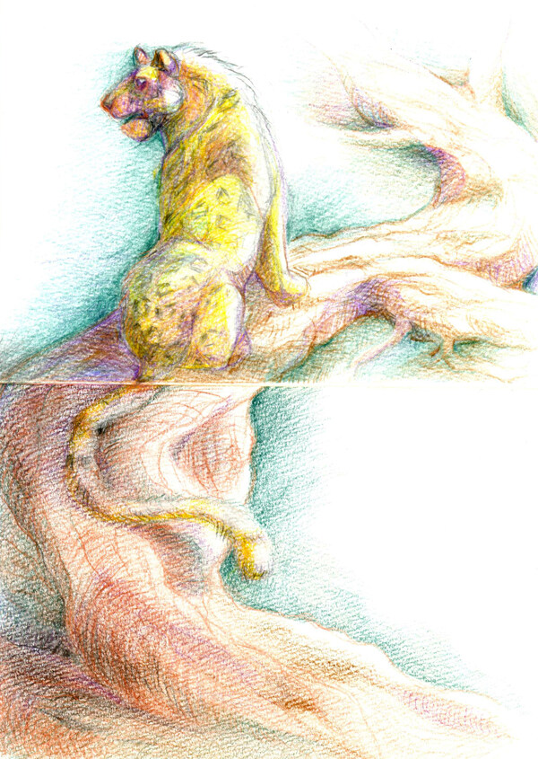 叢林素描圖