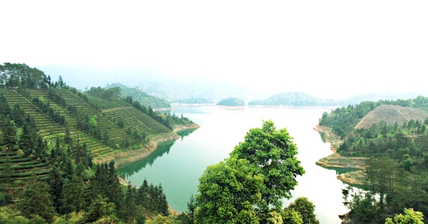 茶山水庫風景圖片