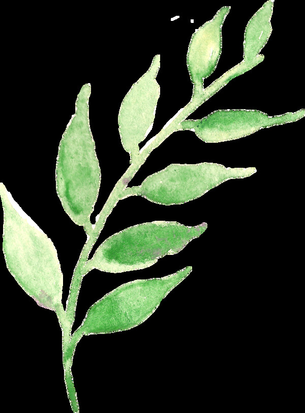 藝術(shù)枝葉卡通透明裝飾素材