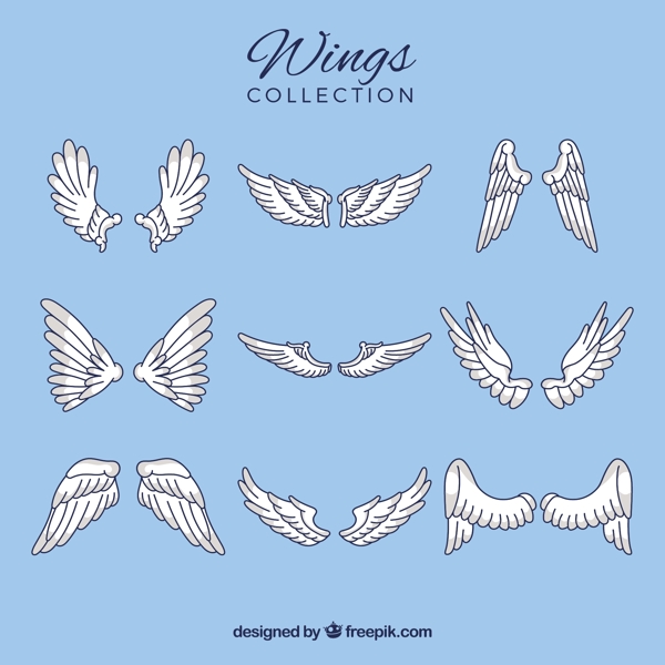 手绘线描风格白色不同的翅膀插图