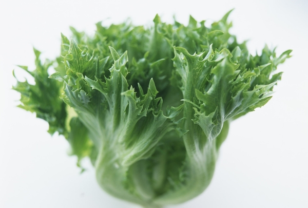 生菜圖片