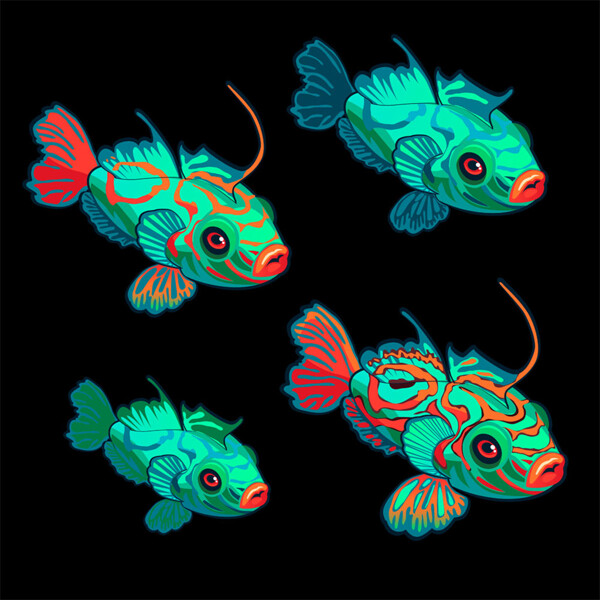 綠色花紋魚圖片