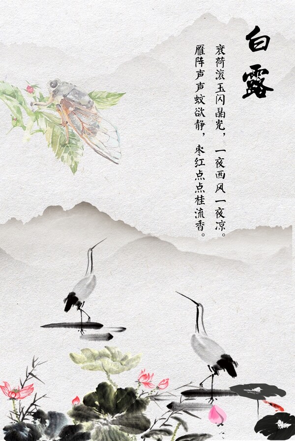 白露中國風海報展板