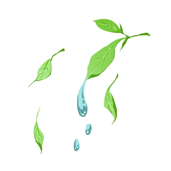 绿色的茶叶和水滴