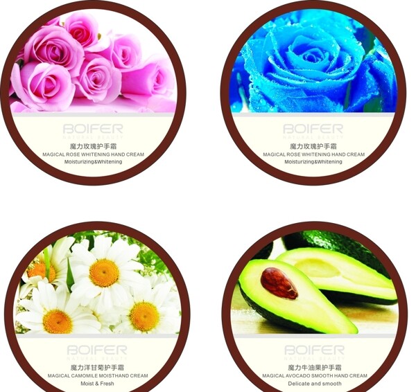 玫瑰洋甘菊牛油圖片