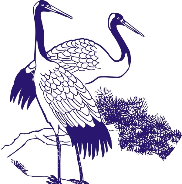草松兩只鶴圖片
