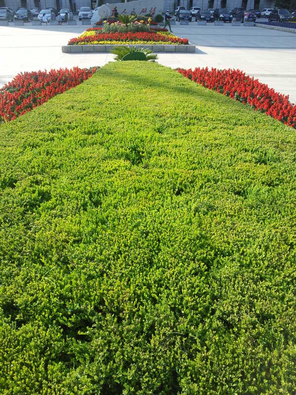 花池圖片