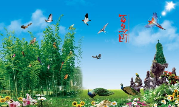 百鳥圖圖片
