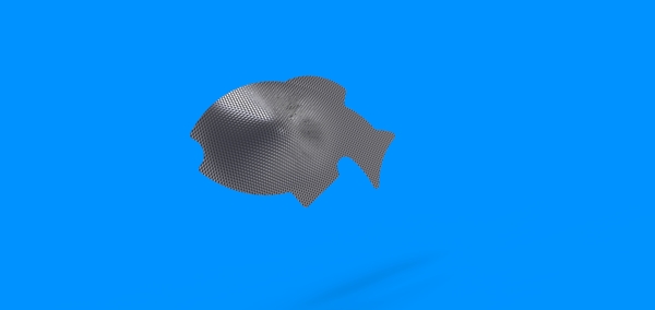 魚