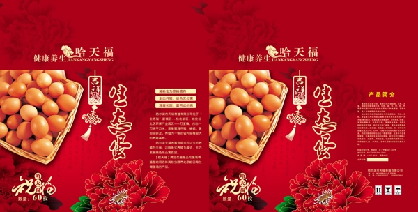 雞蛋箱圖片