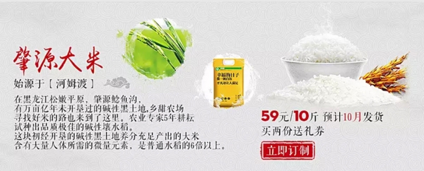淘寶海報(bào)大米
