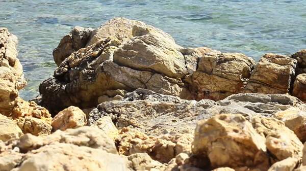 岩石在海