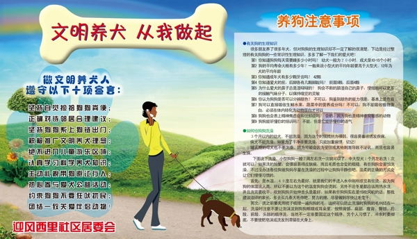 文明養(yǎng)犬圖片