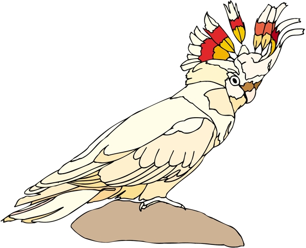 各種鳥類鳥動物矢量素材EPS格式0535