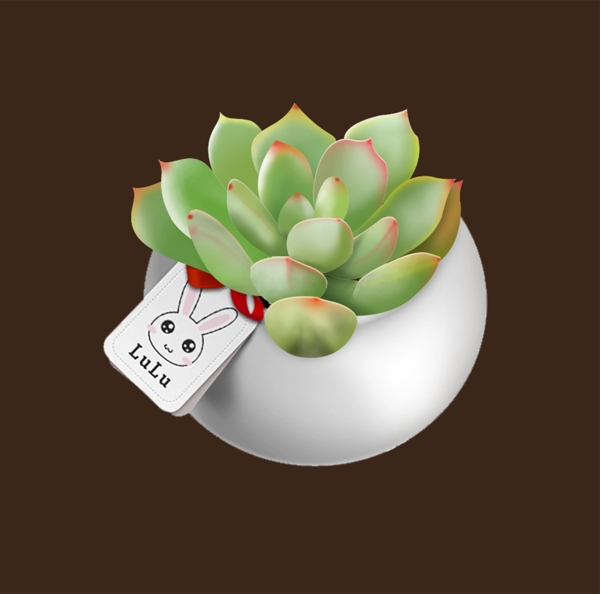 多肉植物逼真圖案