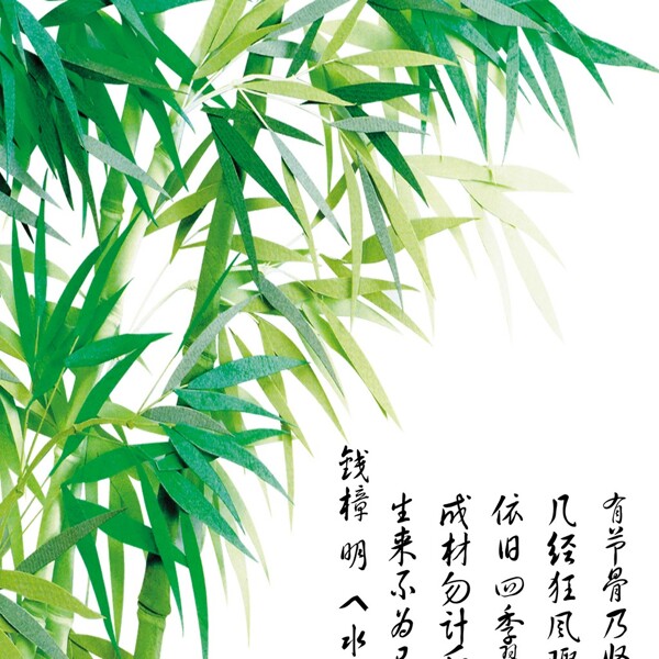 創(chuàng)意竹子室內(nèi)裝飾圖
