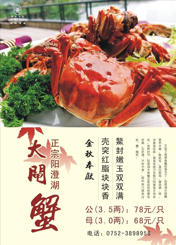 大閘蟹圖片