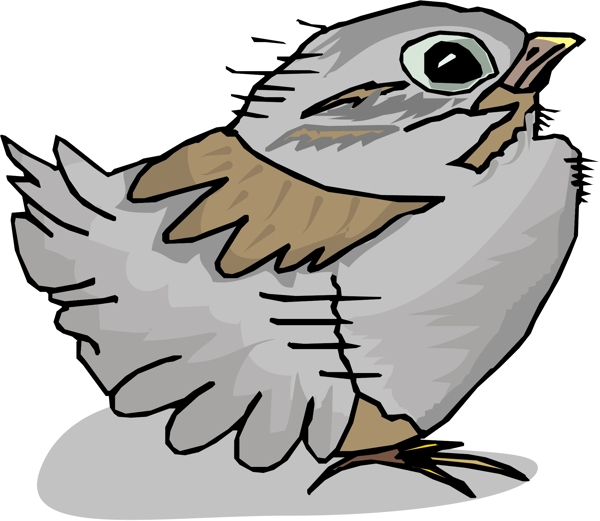 各種鳥類鳥動物矢量素材EPS格式0519