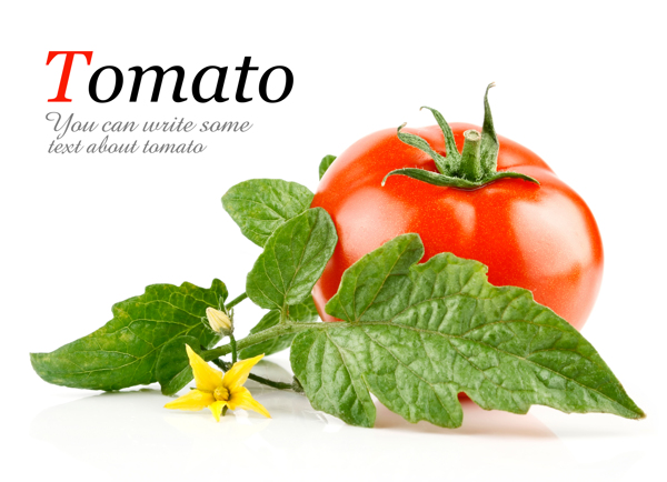 高清西红柿蔬菜图片