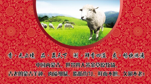 火锅店名片