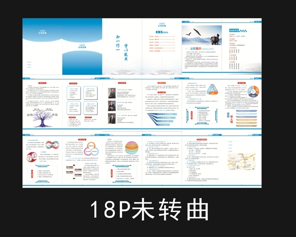 企業(yè)畫冊宣傳冊