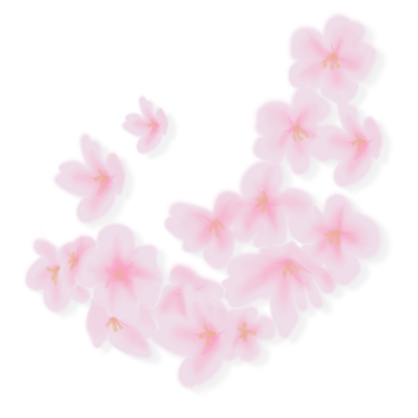 櫻花漂浮PNG素材