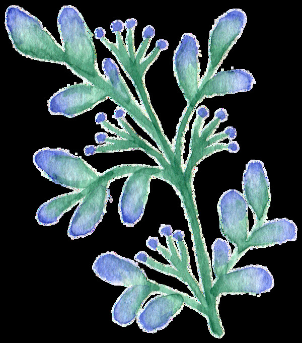 紫色妖娆植物卡通透明装饰素材